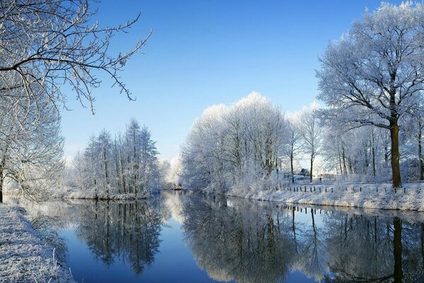 Fluss im kalten Winterwald