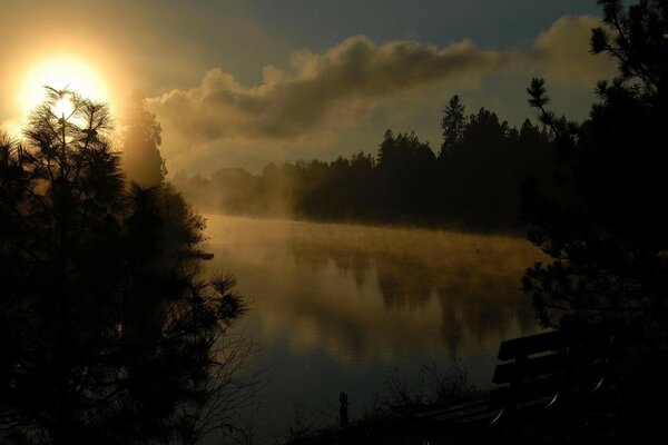 Increíble amanecer cubierto de niebla