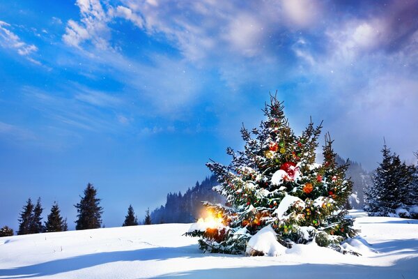 Weihnachtlicher geschmückter Weihnachtsbaum im verschneiten Wald