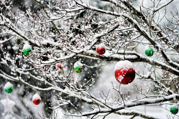 Palle rosse e verdi per Natale in inverno