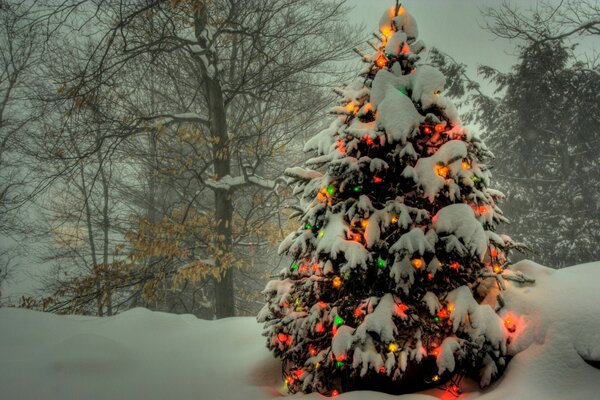 Weihnachtsbaum draußen