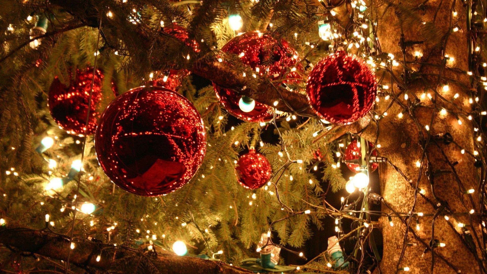 nuovo anno natale inverno vacanza splende palla decorazione oro buon filo sfera glisten luce braccialetto arco albero eva pino florido albero di natale