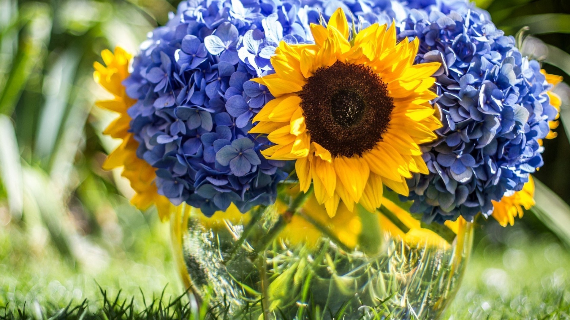 blumenstrauß natur flora sommer blume garten blatt hell blumen blütenblatt feld farbe jahreszeit blühen schön heuhaufen nahaufnahme wachstum sonnig gutes wetter