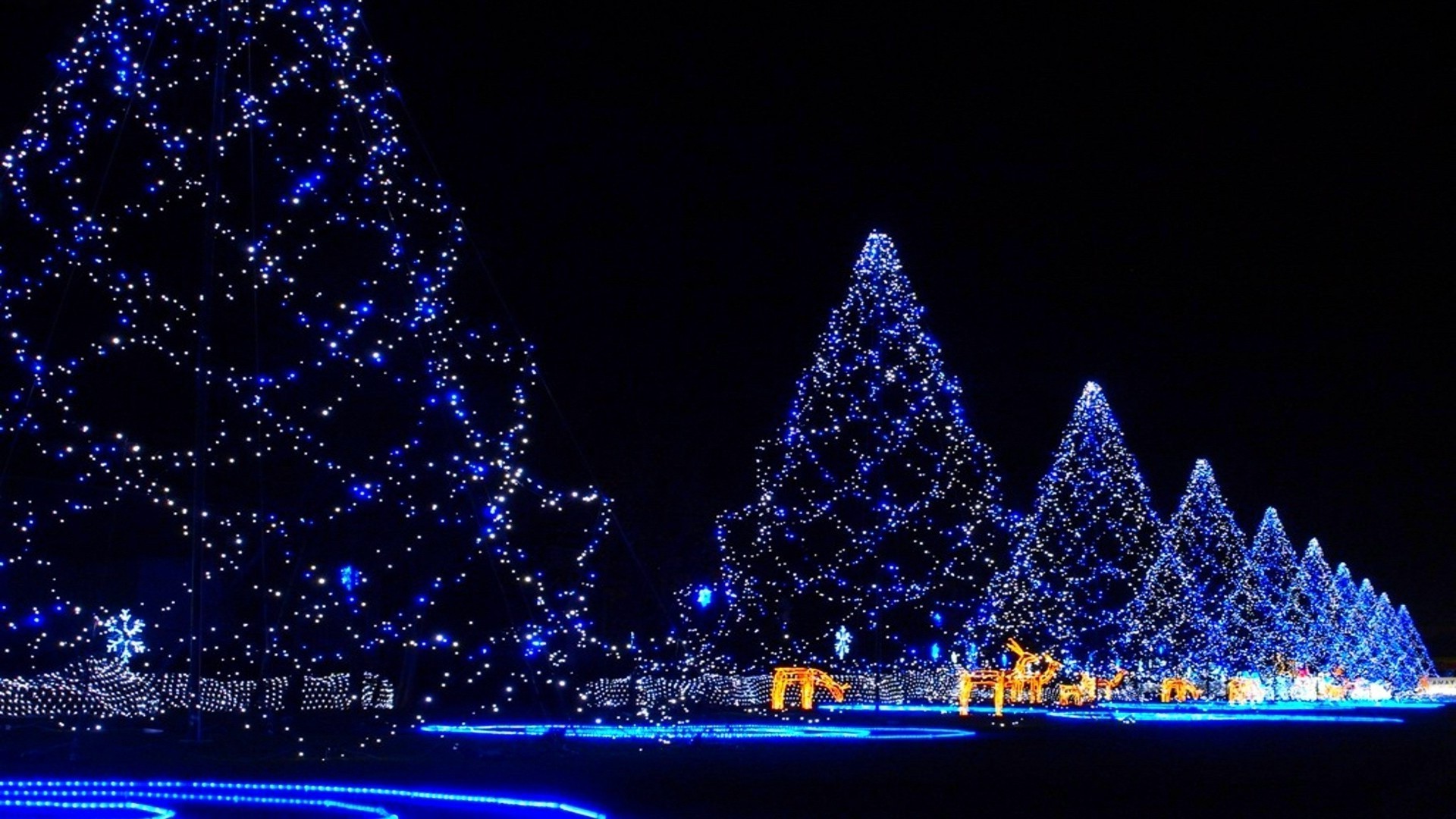 nuovo anno illuminato natale scuro luce inverno sera luminoso sfocatura splende brillare architettura