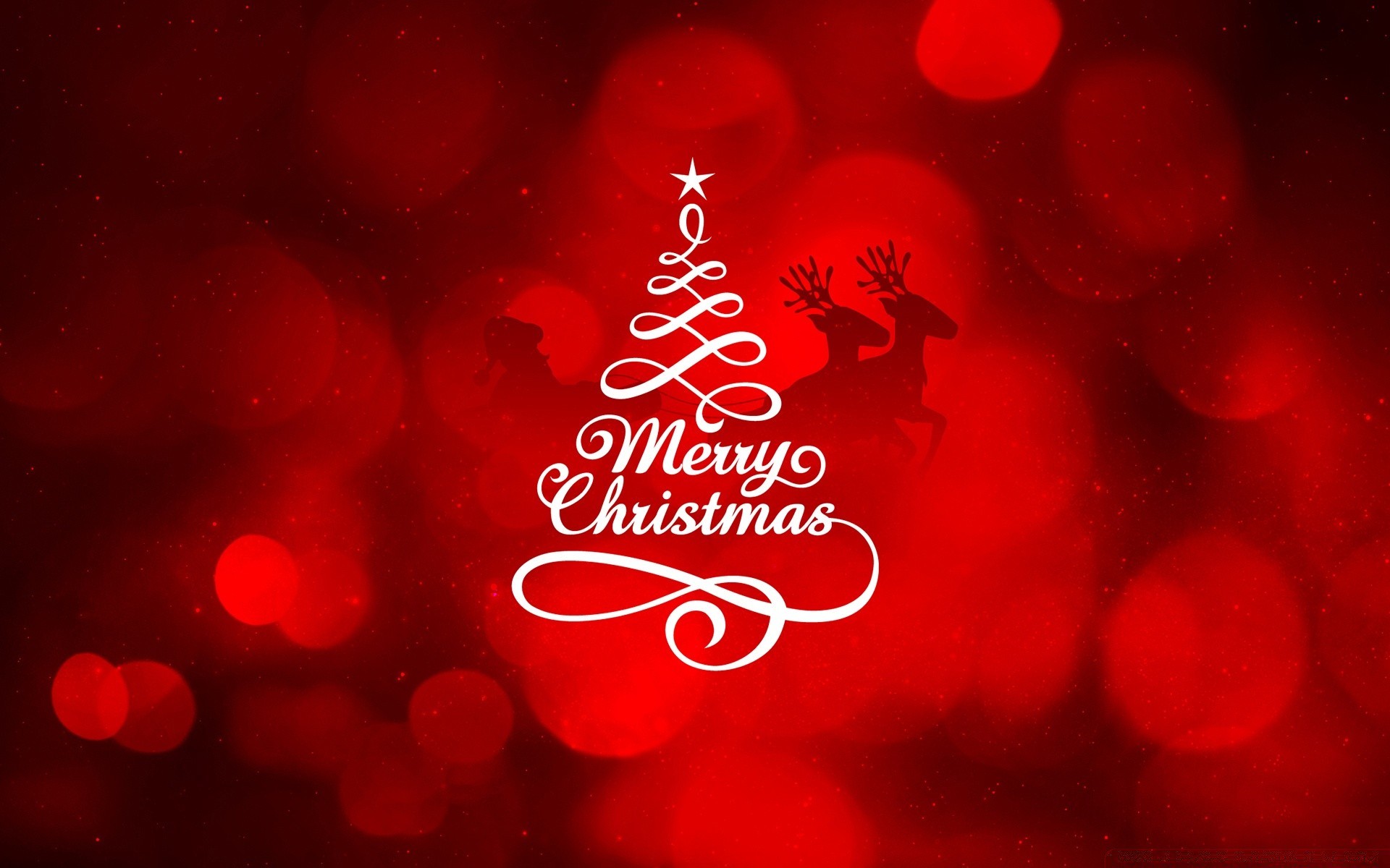 natale romanticismo splende brillano amore luminoso vacanza sfocatura cuore illuminato scintillante romantico graphic design carta merry elegante decorazione scuro design