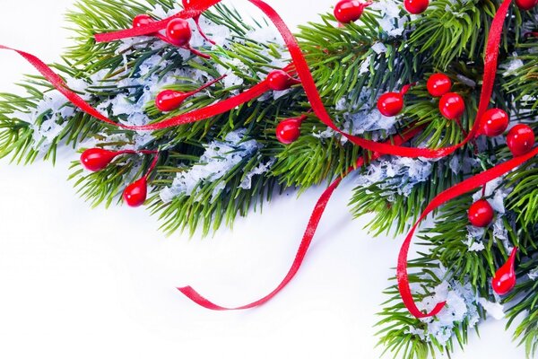 A pine twig in the snow and with a red ribbon