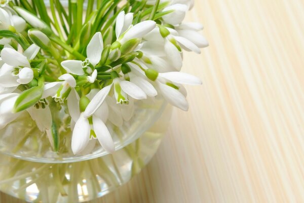 A bouquet of delicate flowers in a vase