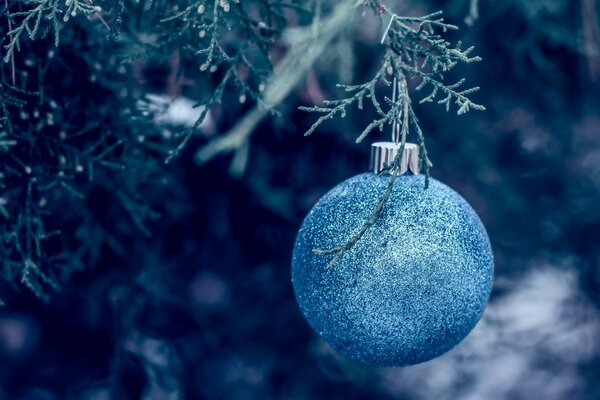 Palla blu di Natale sull albero di Natale