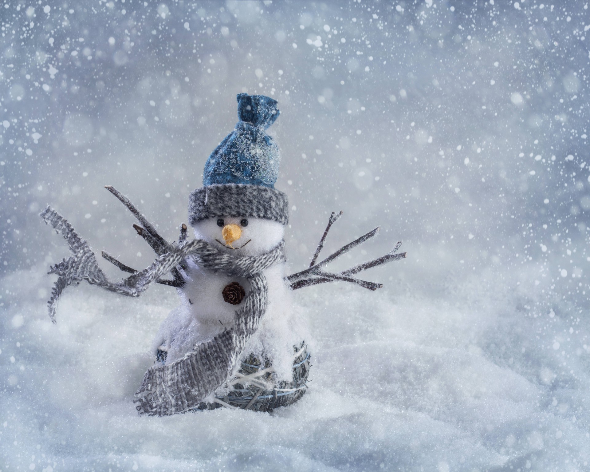 año nuevo invierno nieve frío escarcha naturaleza hielo congelado navidad copo de nieve blanco como la nieve al aire libre cielo helada temporada tiempo pájaro diversión