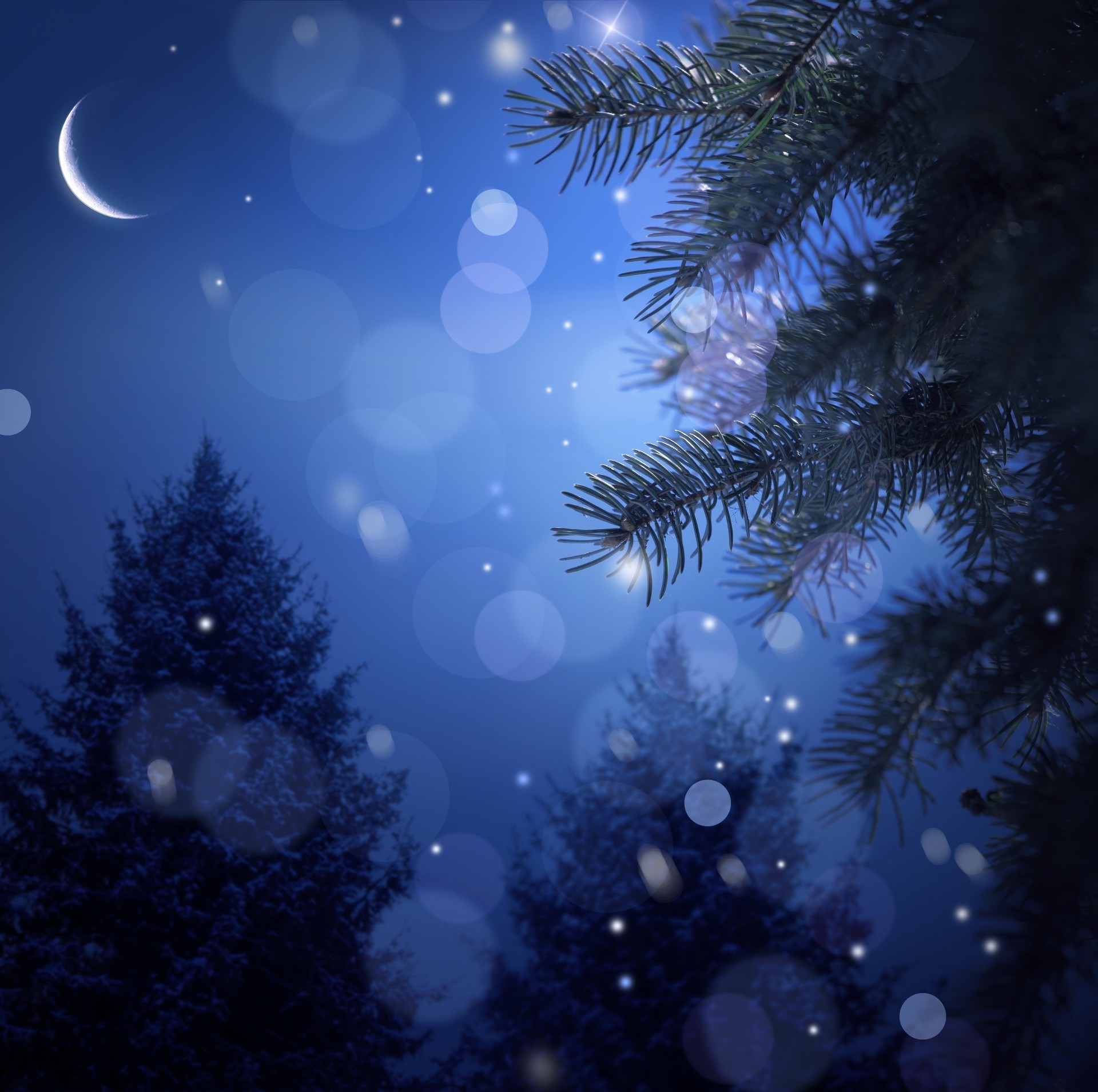 пейзажи зима рождество рабочего стола свет цвет снег украшения аннотация дерево светит праздник снежинка яркий природа блестят карта новый год мерри
