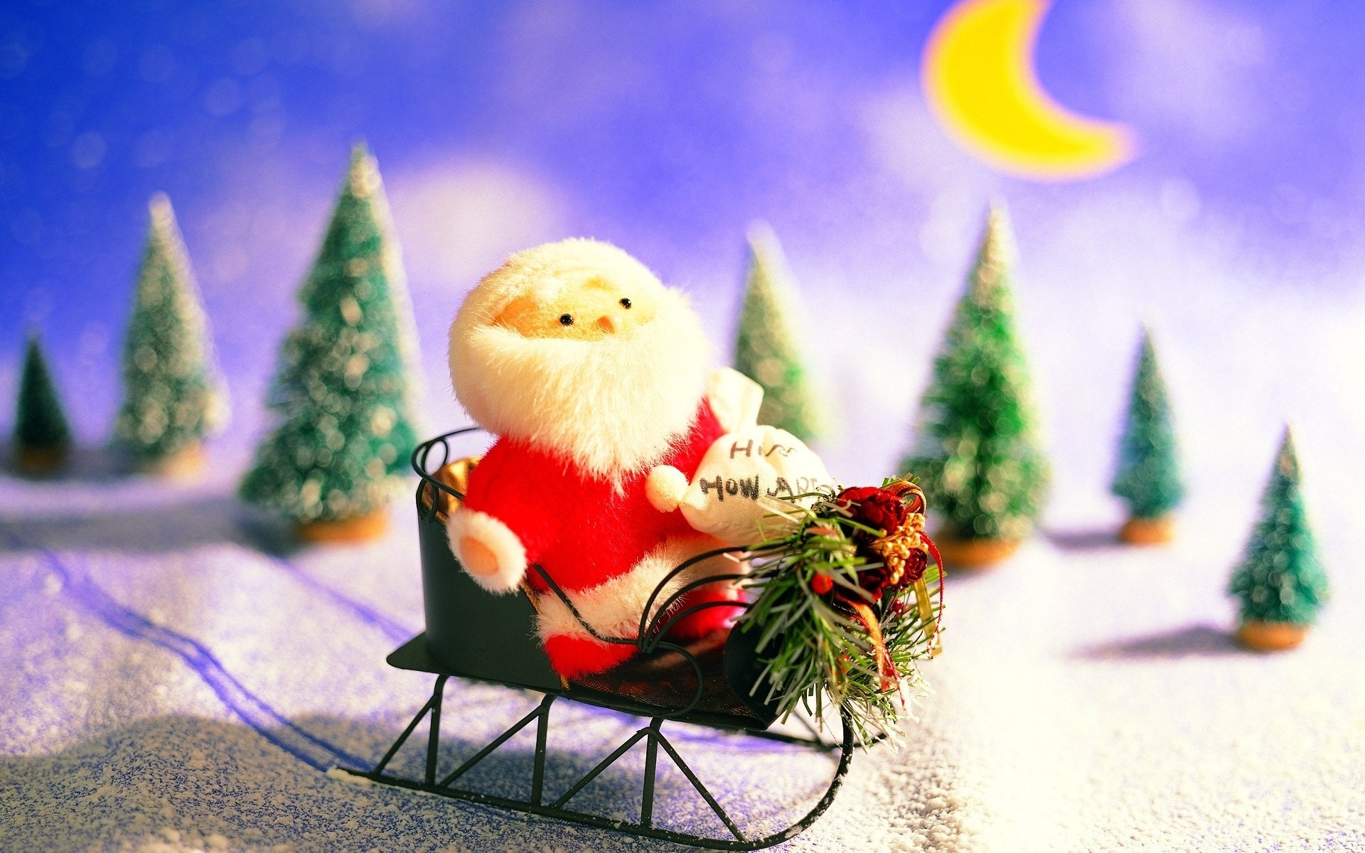 christmas celebration decoration winter vacation season traditional tree party