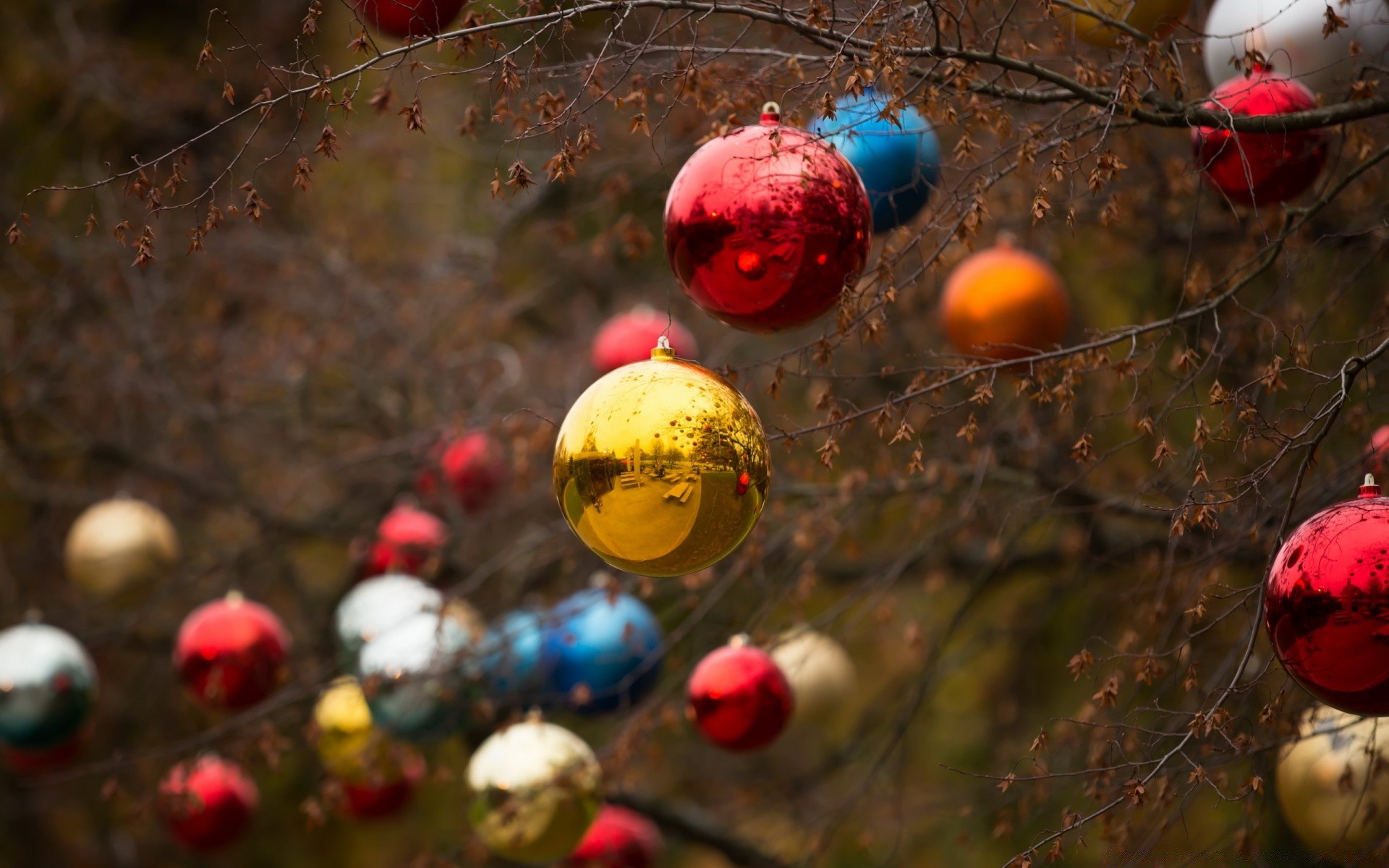 weihnachten winter baum urlaub ball farbe neujahr dekoration