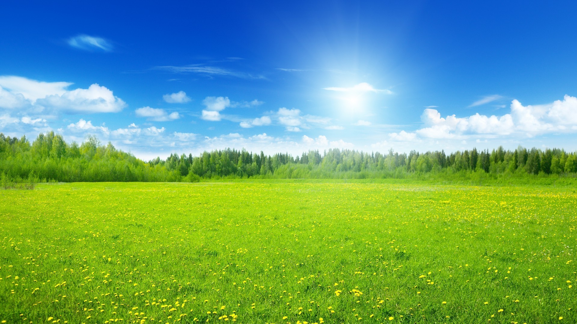 campos prados e vales grama feno verão campo rural natureza paisagem pasto campo bom tempo sol gramado idílio pasto solo fazenda céu brilhante