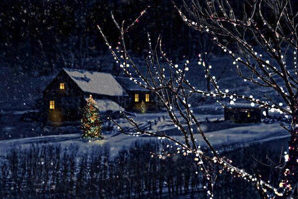 Glowing tree branches and night houses in winter