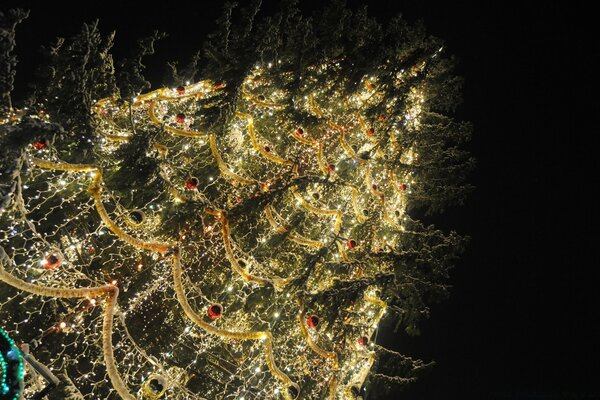 Árbol de Navidad en la Plaza de la ciudad , decorado con juguetes y guirnaldas