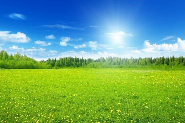 Landscape of green meadows and valleys