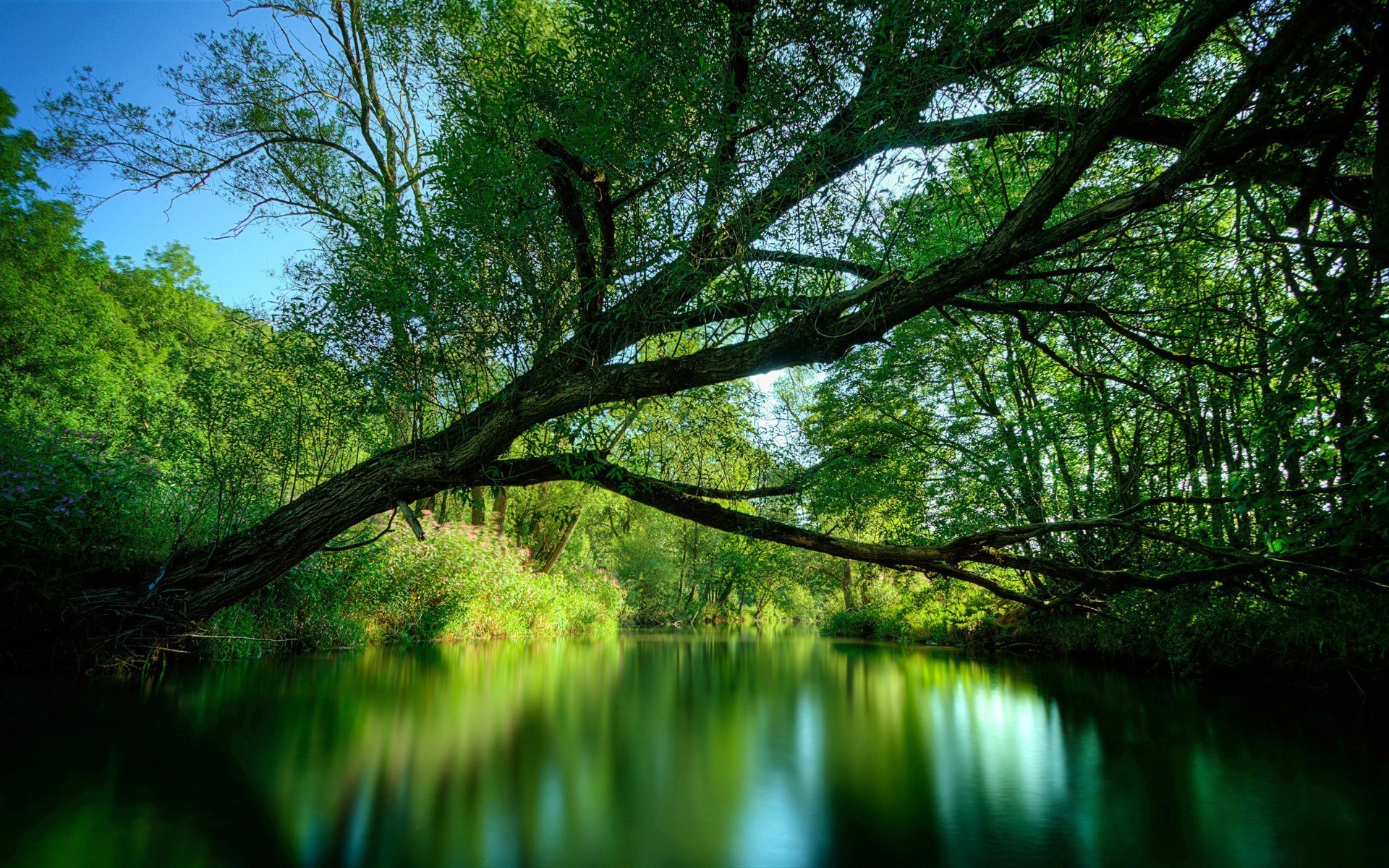 деревья природа древесины пейзаж дерево воды лист рассвет парк отражение озеро среды солнце хорошую погоду на открытом воздухе свет филиал живописный пышные флора