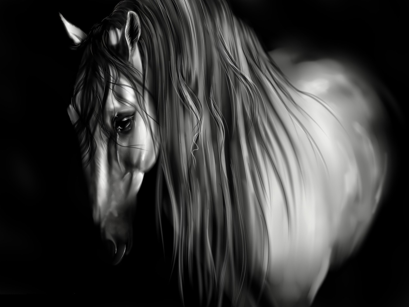 cavallo in bianco e nero ragazza ritratto bianco e nero arte fantasia scuro astratto nudo studio bella modello luce desktop viso occhio moda fumo