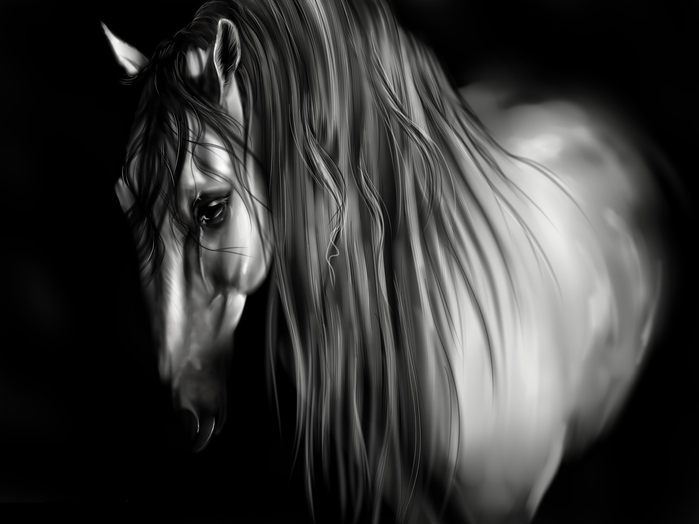 лошади монохромный девушка портрет черный и белый искусство фантазия темный аннотация ню студия красивые модель свет рабочего стола лицо глаз мода дым