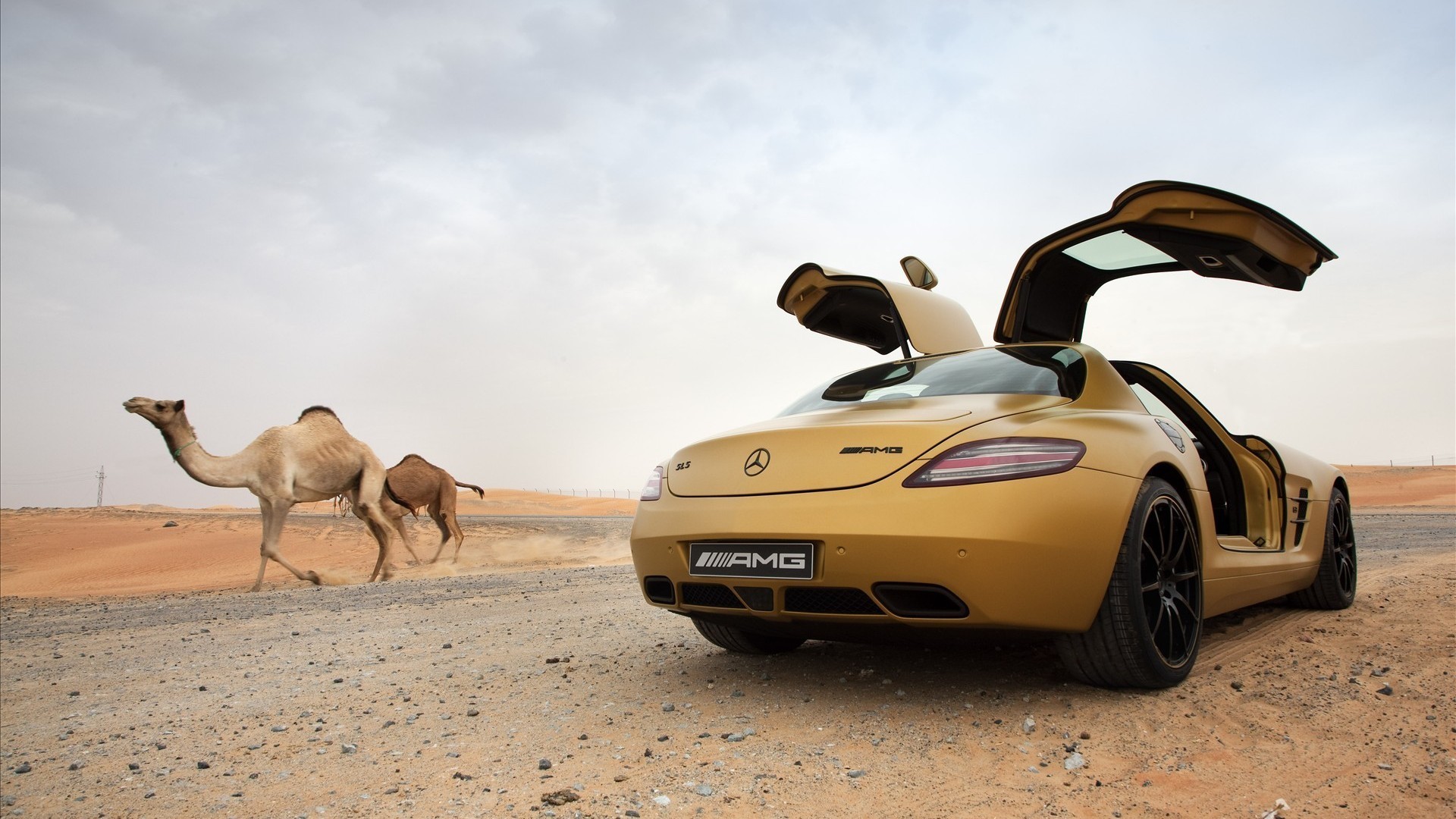 спортивные автомобили песок путешествия пустыня транспортная система автомобиль на открытом воздухе один спешите пляж