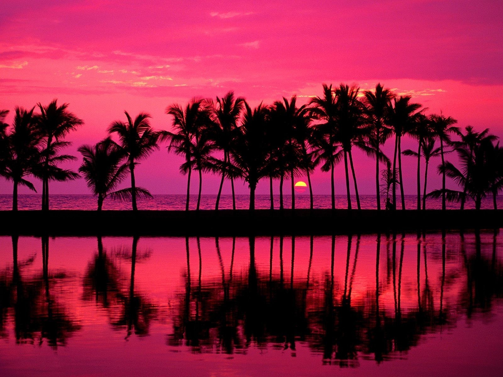 sonnenuntergang und dämmerung sonnenuntergang strand silhouette wasser dämmerung ozean dämmerung abend sonne meer hintergrundbeleuchtung tropisch palmen meer himmel landschaft sommer landschaft bucht