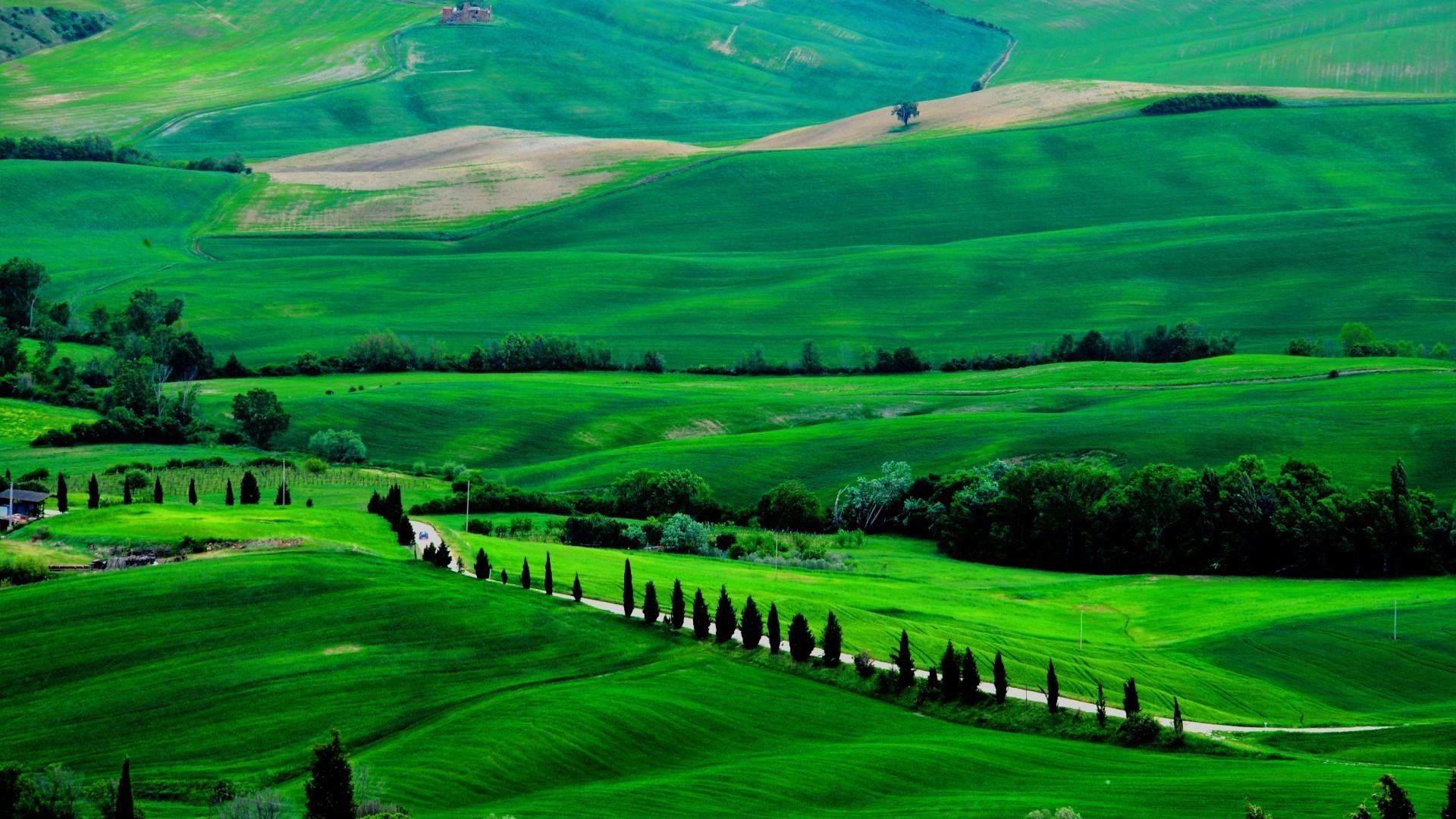 champs prairies et vallées agriculture campagne rural paysage ferme champ herbe nature pâturage terres agricoles terres cultivées foin golf été pays colline à l extérieur cyprès ciel