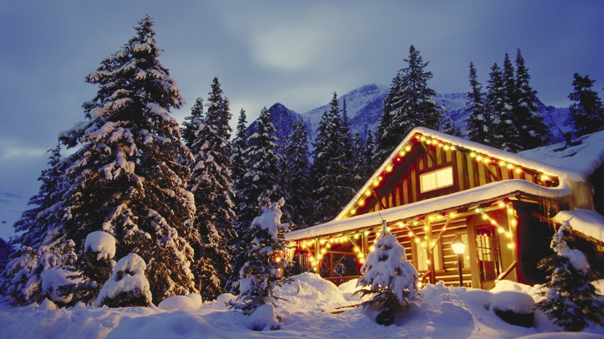 año nuevo nieve invierno montañas evergreen frío resort madera chalet escénico coníferas navidad árbol abeto cabaña al aire libre alpino luz del día pico de montaña estación de esquí