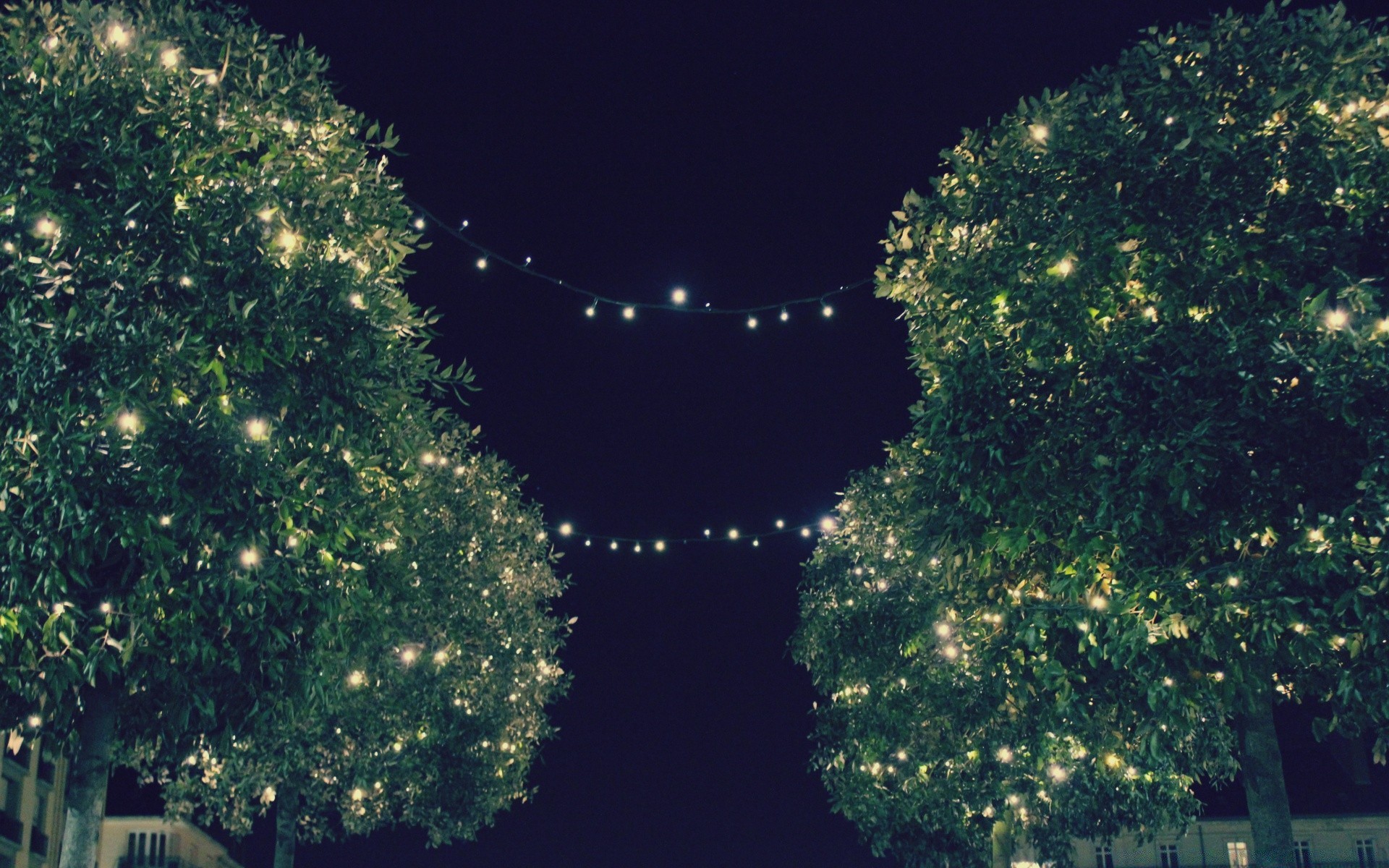 weihnachten baum desktop natur