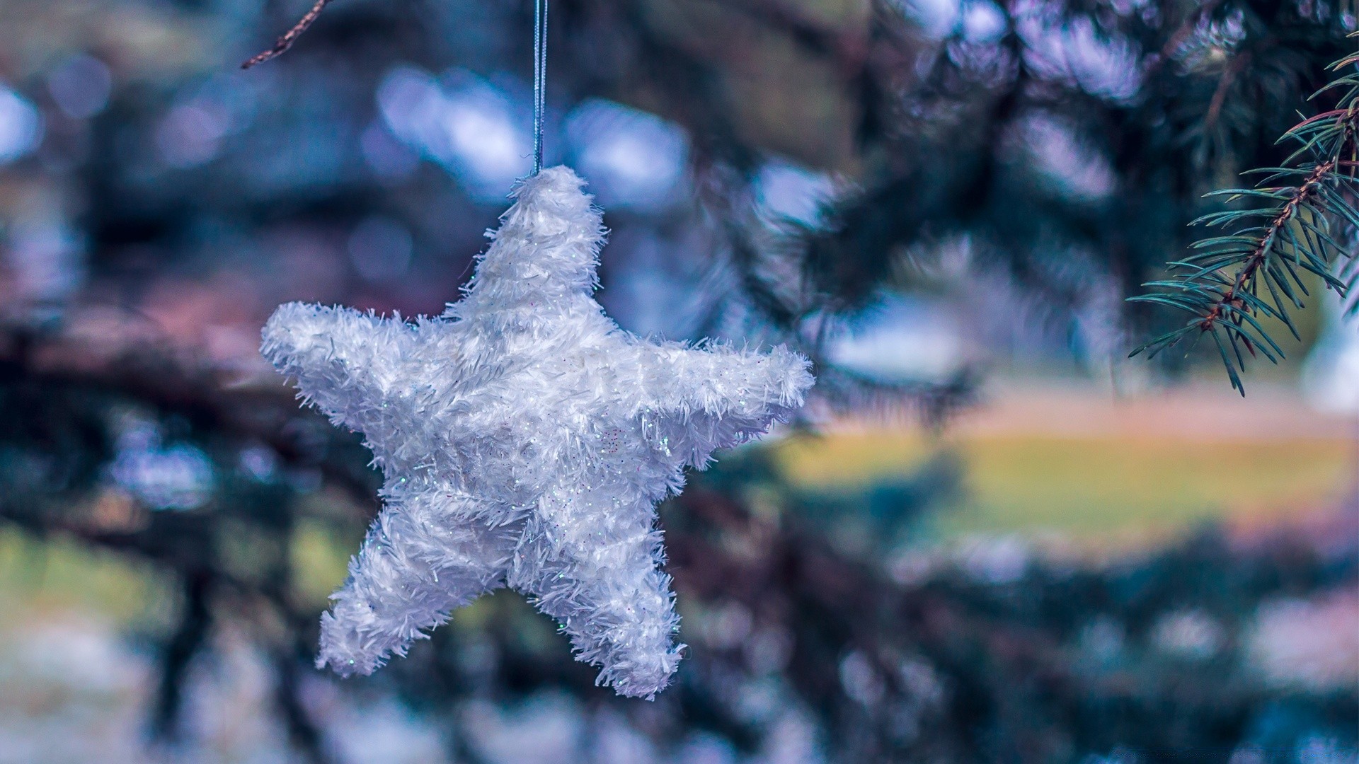 weihnachten winter frost baum jahreszeit schnee schneeflocke dekoration natur urlaub