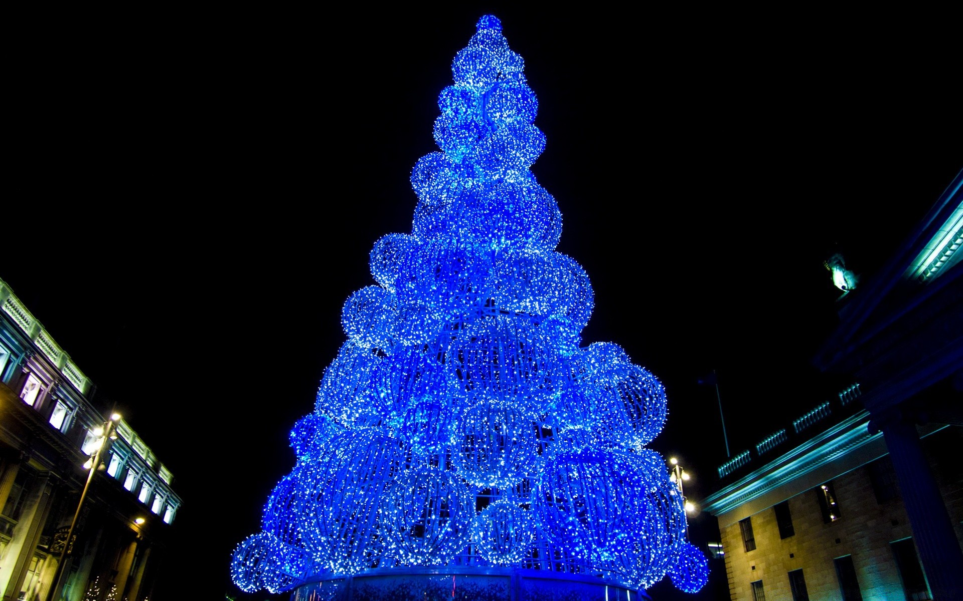 boże narodzenie oświetlony światło festiwal na zewnątrz