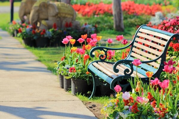 Banc dans un parc fleuri en été