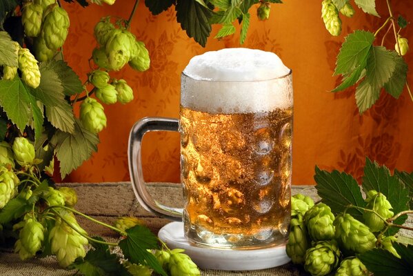 A mug of beer on the background of hops