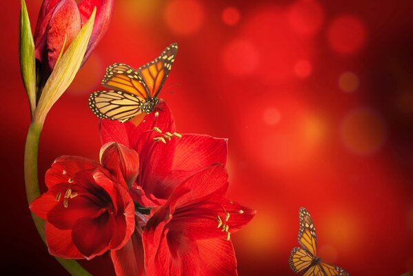 Hermosas flores rojas con mariposas