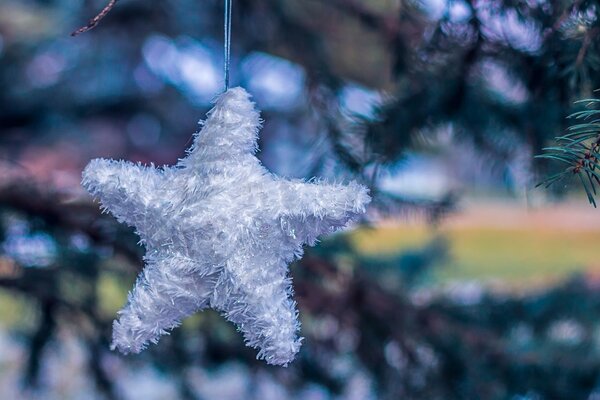 Flauschiger Stern am Weihnachtsbaum. Weihnachtsdekoration