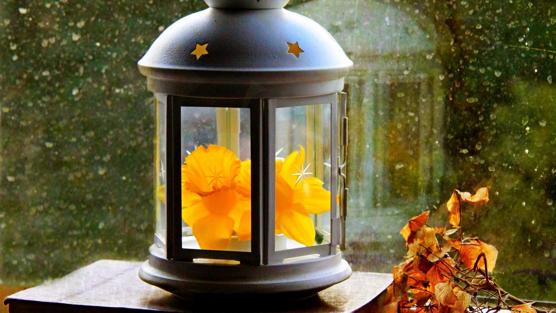листочки цветок древесины фонарь таблица украшения свет дневной свет