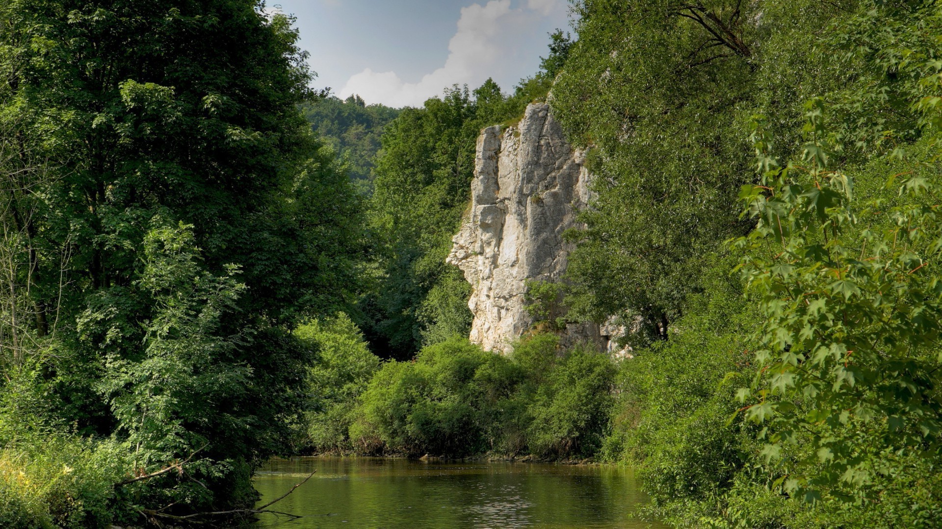 landscapes water nature tree landscape wood river outdoors travel scenic summer lake sky mountain leaf