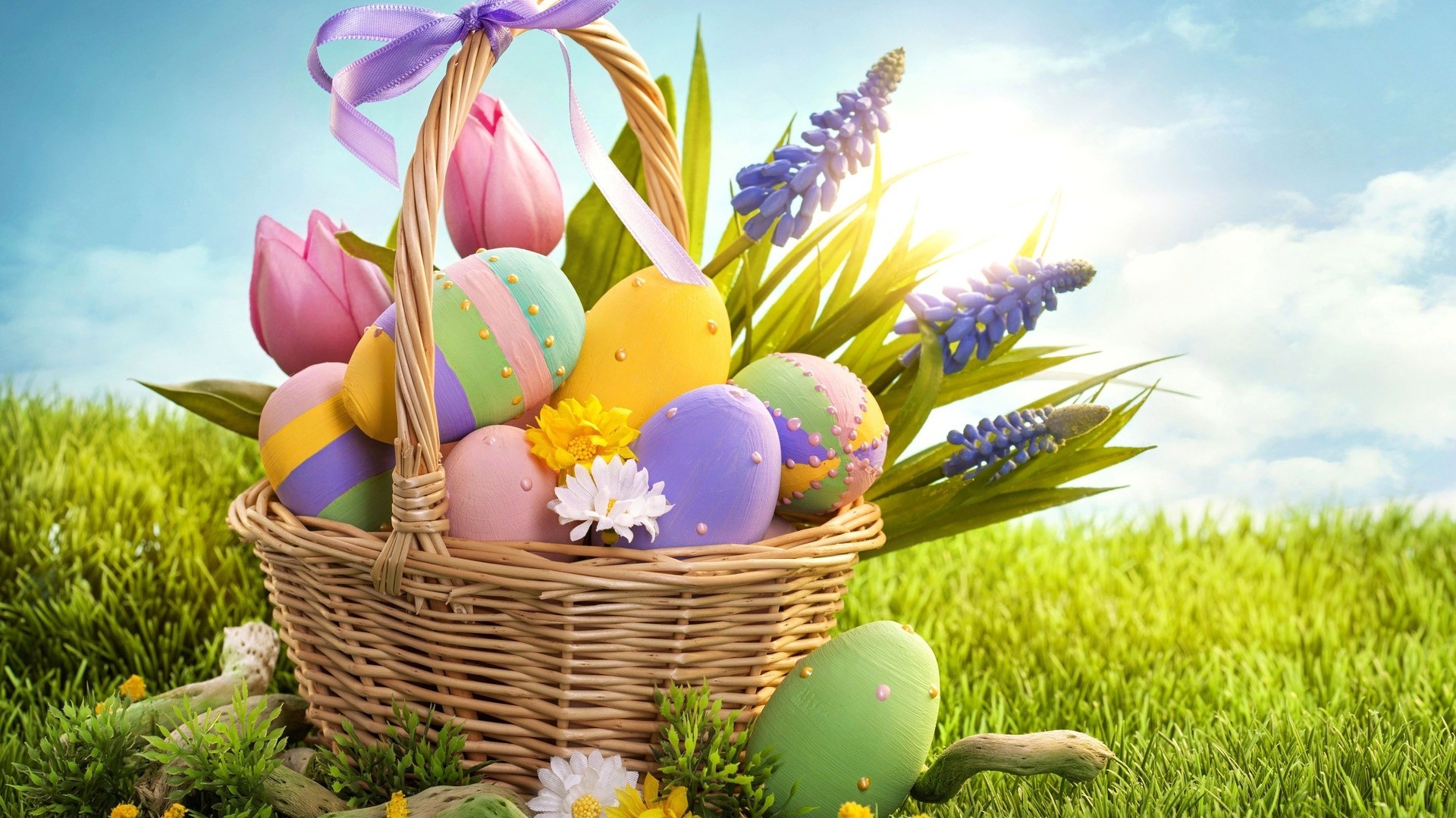 pasqua natura erba cesto estate fiore decorazione stagione all aperto uovo cielo