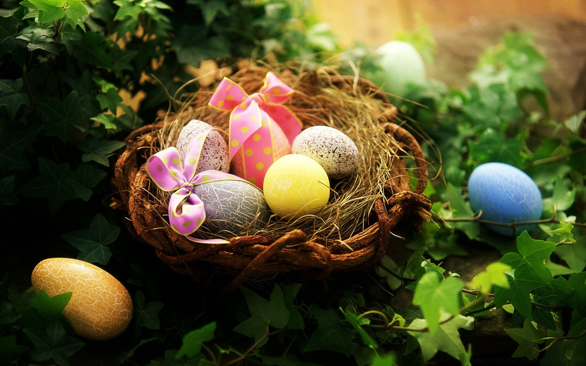 easter nest egg food basket decoration nature celebration color traditional desktop easter egg season