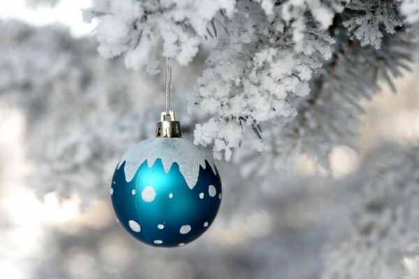 White Christmas tree with a yankee ball