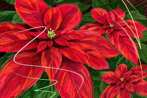 Red flowers on a background of green leaves