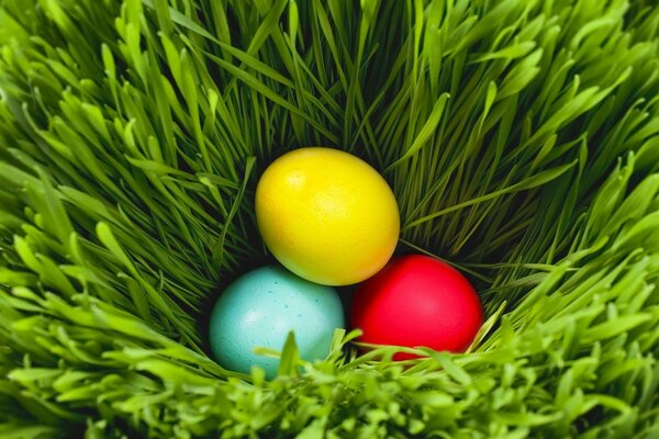 Oeufs de Pâques lumineux dans l herbe verte