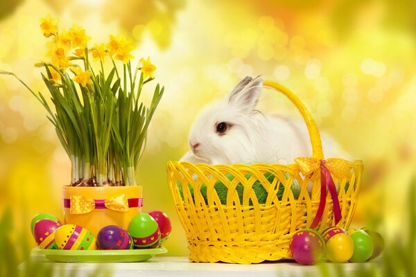 Easter bunny sitting in a basket