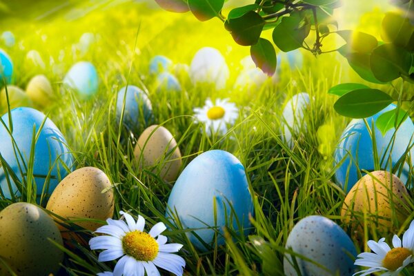 Painted eggs in the middle of a summer meadow