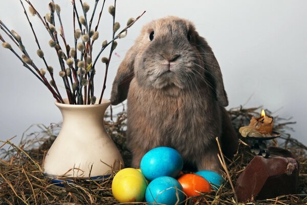 The Easter bunny guards the eggs