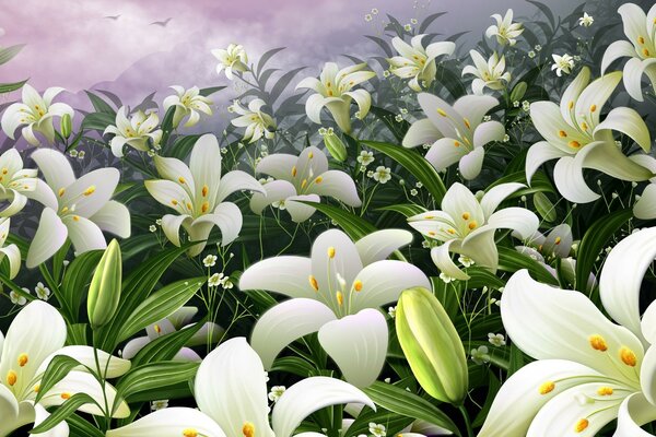 White lilies. Easter flowers. Sal lilies