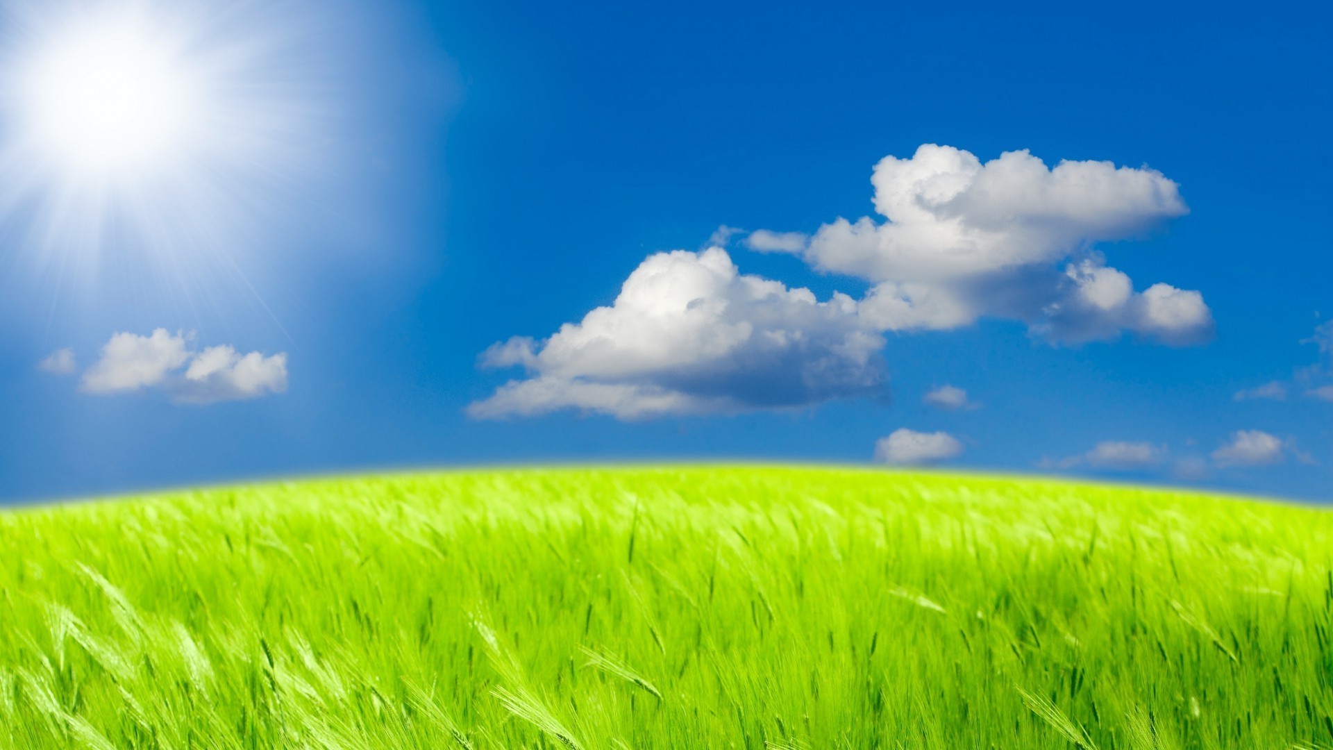 fields meadows and valleys field pasture rural grass hayfield cereal wheat farm countryside soil lawn growth sun farmland fair weather summer horizon agriculture country