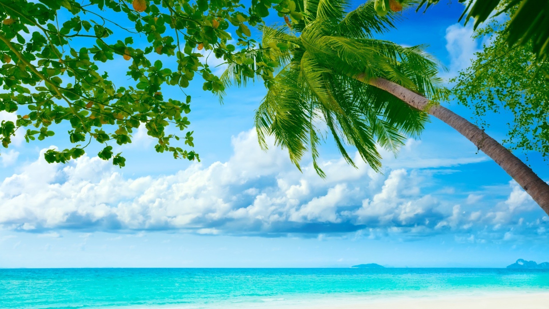 palmen und tropen sommer tropisch natur sonne wasser idylle himmel gutes wetter strand sand paradies ozean landschaft baum exotisch landschaft insel türkis wolke