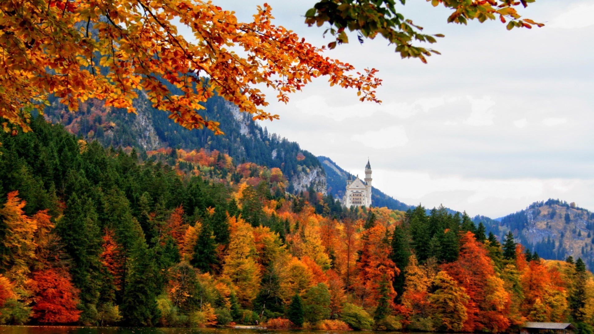 otoño otoño madera árbol hoja naturaleza paisaje al aire libre escénico arce temporada paisaje oro montañas parque viajes