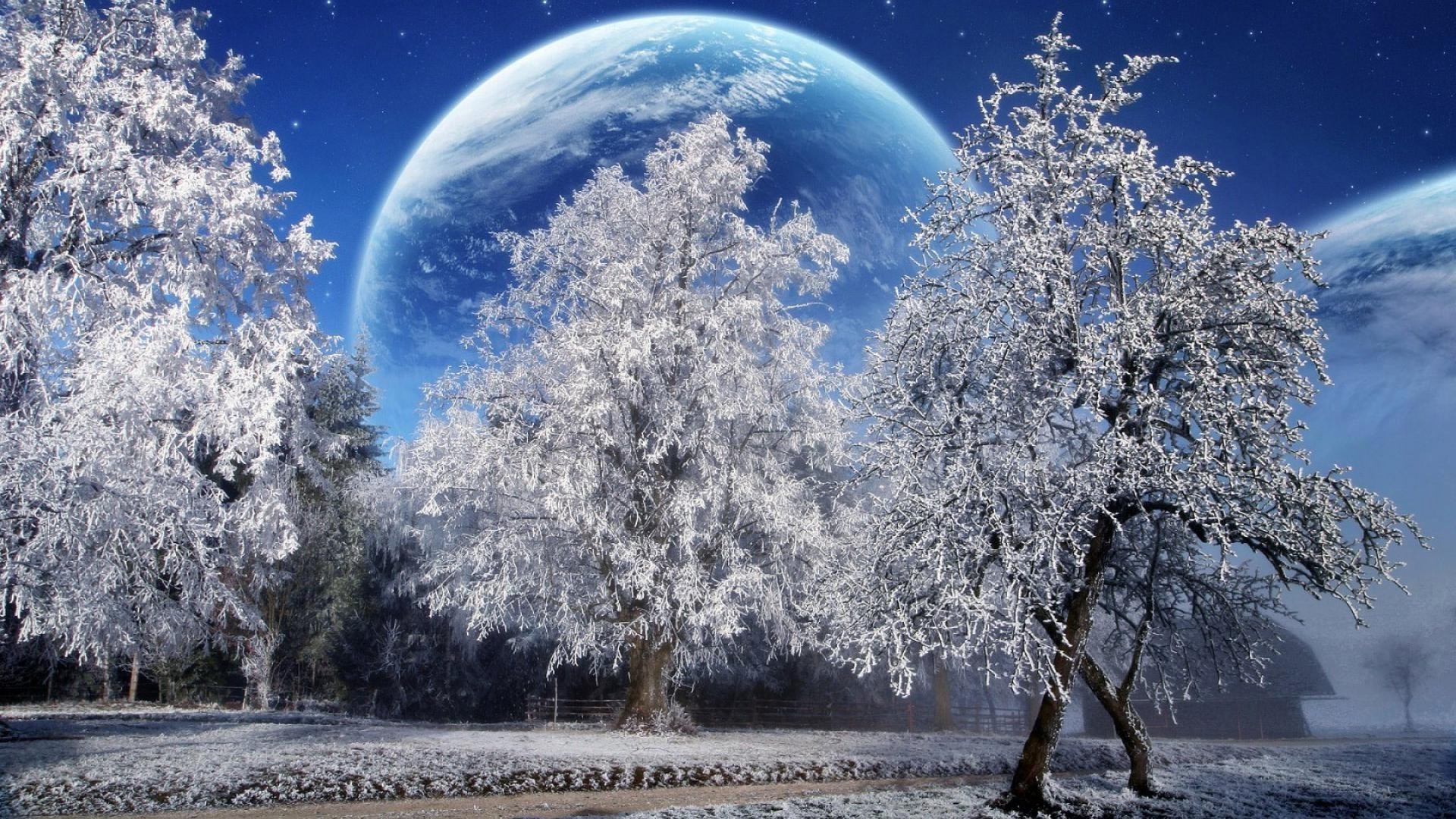 winter baum schnee kalt frost jahreszeit wetter mond himmel landschaft natur gefroren frostig eis zweig weihnachten holz landschaftlich