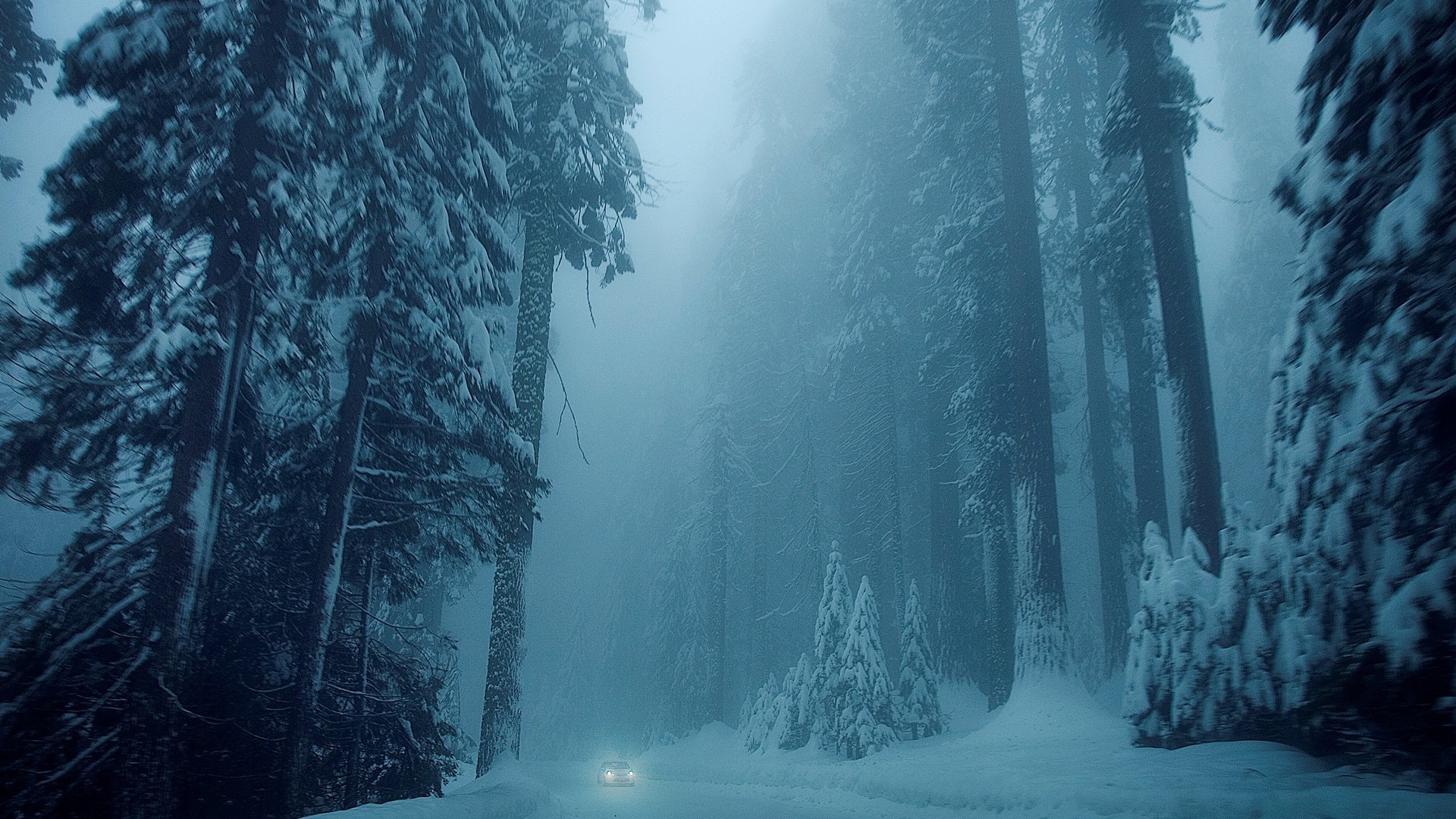 invierno nieve niebla frío agua niebla hielo paisaje madera escarcha coníferas árbol al aire libre viajes naturaleza